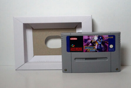 Megaman & Bass [SFRA] – Image 5
