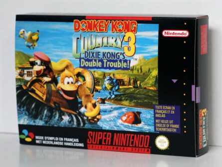 Donkey Kong Country 3 [NFAH] – Image 2